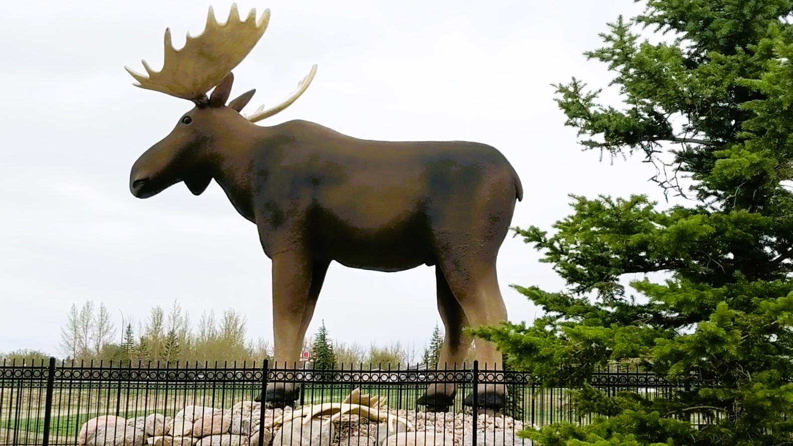 direct travel moose jaw